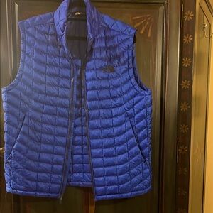 The North Face Royal Blue Puffer Vest